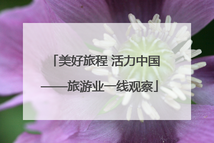 美好旅程 活力中国——旅游业一线观察