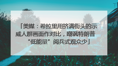美媒：希拉里用挤满街头的示威人群画面作对比，嘲讽特朗普“低能量”阅兵式观众少