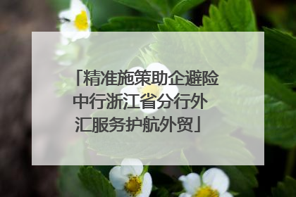 精准施策助企避险 中行浙江省分行外汇服务护航外贸