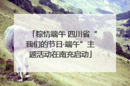 粽情端午 四川省“我们的节日·端午”主题活动在南充启动