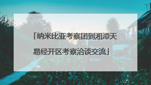 纳米比亚考察团到湘潭天易经开区考察洽谈交流
