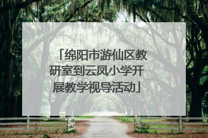 绵阳市游仙区教研室到云凤小学开展教学视导活动