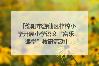 绵阳市游仙区梓棉小学开展小学语文“富乐课堂”教研活动