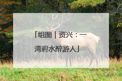 组图｜资兴：一湾碧水醉游人