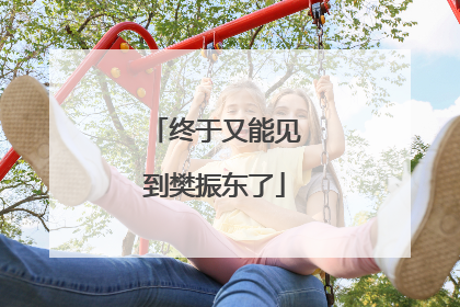 终于又能见到樊振东了