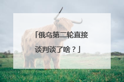 俄乌第二轮直接谈判谈了啥？