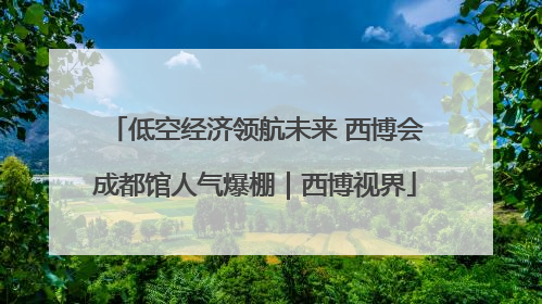 低空经济领航未来 西博会成都馆人气爆棚｜西博视界