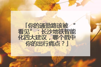 你的通勤路该被 “看见”：长沙地铁智能化四大建议，哪个戳中你的出行痛点？