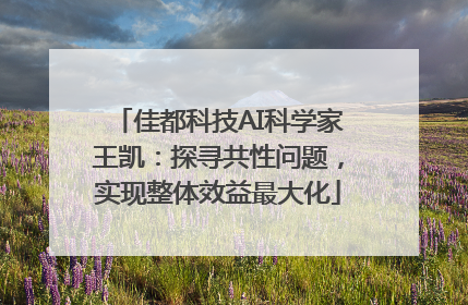 佳都科技AI科学家王凯：探寻共性问题，实现整体效益最大化