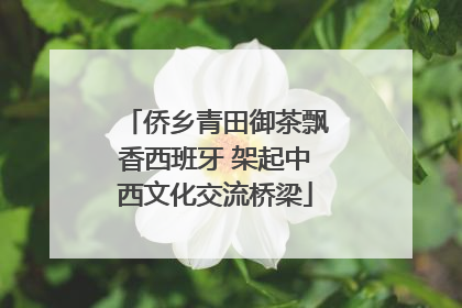 侨乡青田御茶飘香西班牙 架起中西文化交流桥梁