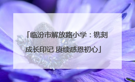 临汾市解放路小学：镌刻成长印记 赓续感恩初心