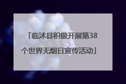 临沭县积极开展第38个世界无烟日宣传活动