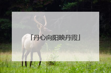 丹心向阳映丹霞