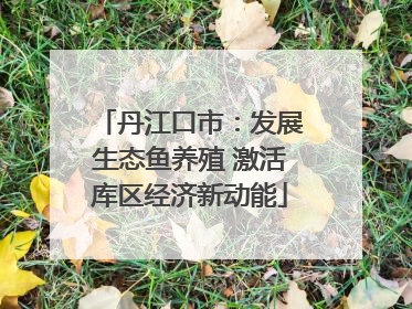 丹江口市：发展生态鱼养殖 激活库区经济新动能