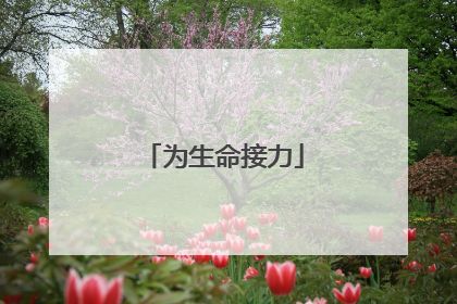 为生命接力