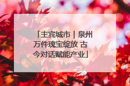主宾城市｜泉州万件瑰宝绽放 古今对话赋能产业