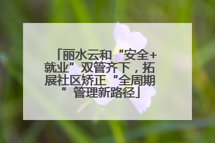 丽水云和“安全+就业”双管齐下，拓展社区矫正“全周期”管理新路径