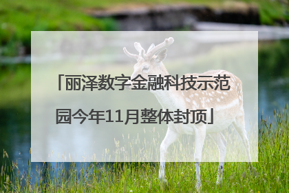 丽泽数字金融科技示范园今年11月整体封顶