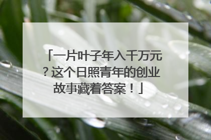 一片叶子年入千万元？这个日照青年的创业故事藏着答案！