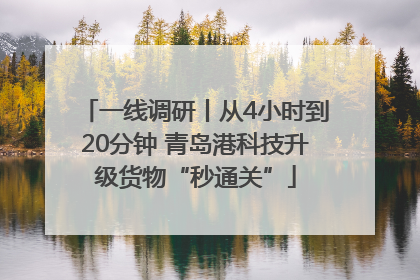 一线调研丨从4小时到20分钟 青岛港科技升级货物“秒通关”