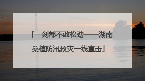 一刻都不敢松劲——湖南桑植防汛救灾一线直击