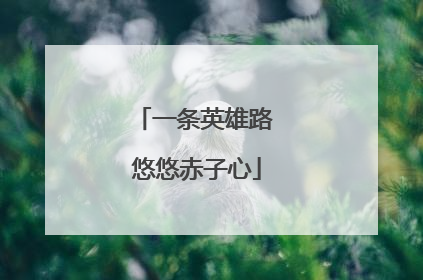 一条英雄路 悠悠赤子心