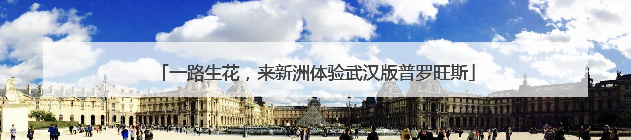 一路生花，来新洲体验武汉版普罗旺斯