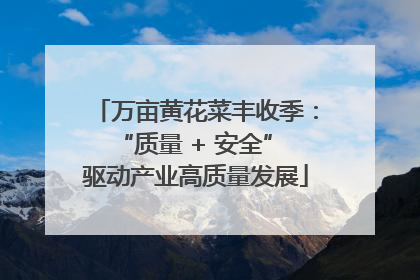 万亩黄花菜丰收季：“质量 + 安全” 驱动产业高质量发展