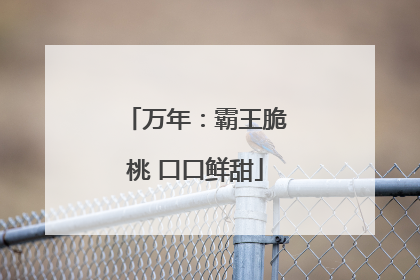 万年：霸王脆桃 口口鲜甜