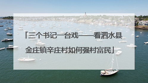 三个书记一台戏——看泗水县金庄镇辛庄村如何强村富民