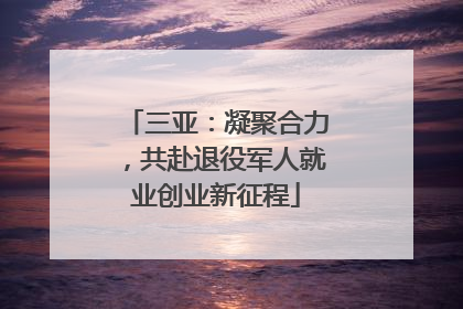 三亚：凝聚合力，共赴退役军人就业创业新征程