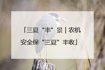 三夏“丰”景｜农机安全保“三夏”丰收