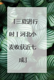 三夏进行时丨河北小麦收获近七成