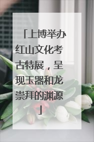 上博举办红山文化考古特展，呈现玉器和龙崇拜的渊源