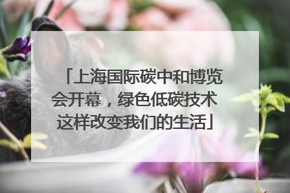 上海国际碳中和博览会开幕，绿色低碳技术这样改变我们的生活