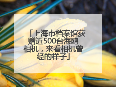 上海市档案馆获赠近500台海鸥相机，来看相机曾经的样子