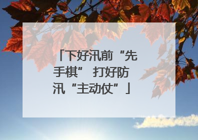 下好汛前“先手棋” 打好防汛“主动仗”