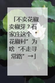 不卖花椒卖椒芽？石家庄这个“花椒村”为啥“不走寻常路”→