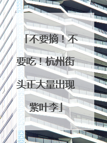 不要摘！不要吃！杭州街头正大量出现紫叶李