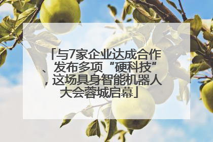 与7家企业达成合作、发布多项“硬科技”，这场具身智能机器人大会蓉城启幕
