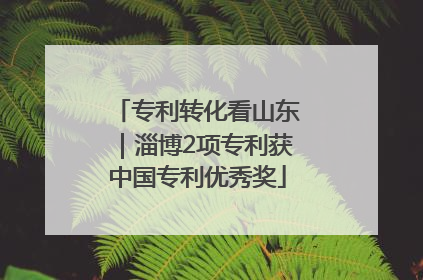 专利转化看山东｜淄博2项专利获中国专利优秀奖