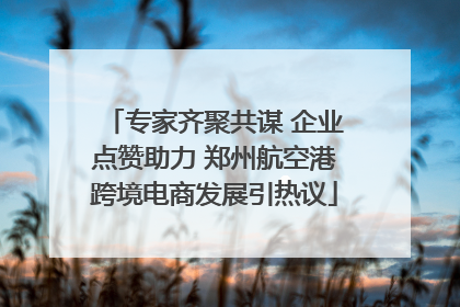 专家齐聚共谋 企业点赞助力 郑州航空港跨境电商发展引热议