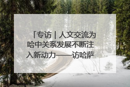 专访｜人文交流为哈中关系发展不断注入新动力——访哈萨克斯坦文化与信息部部长巴拉耶娃