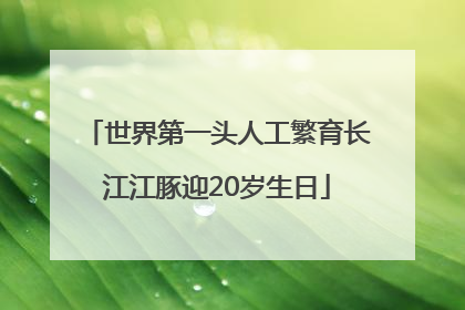 世界第一头人工繁育长江江豚迎20岁生日
