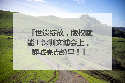 世遗绽放，版权赋能！深圳文博会上，鲤城亮点纷呈！