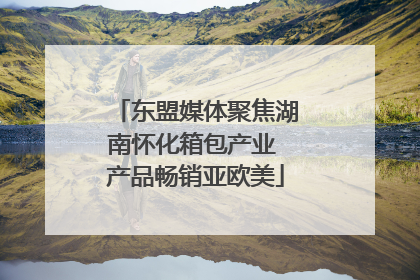 东盟媒体聚焦湖南怀化箱包产业 产品畅销亚欧美