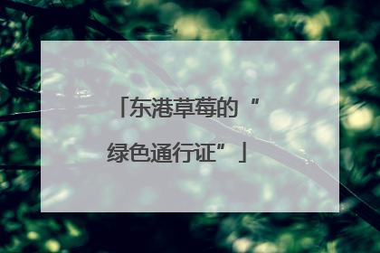 东港草莓的“绿色通行证”