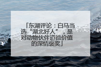 东湖评论：白马当选“湖北好人”，是对动物伙伴道德价值的深情褒奖