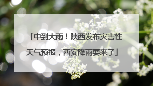 中到大雨！陕西发布灾害性天气预报，西安降雨要来了