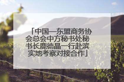 中国—东盟商务协会总会中方秘书处秘书长鹿德晶一行赴滨实地考察对接合作